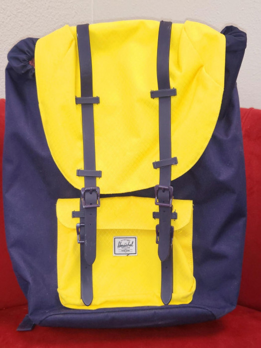 Yellow and Navy Blue in color