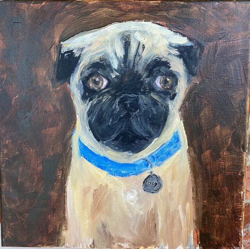 "Percy the Pug" acrylic on canvas painting, by Pesnicok. The artist is a research scientist. 10" x 10"