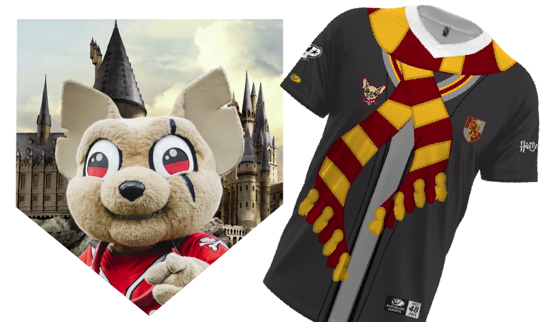Harry Potter Jersey - Size 46 (L), not worn or signed by Chico.
