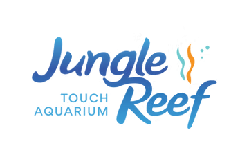 Dive into fun with three tickets to Jungle Reef, El Paso’s interactive aquatic playground. Perfect for families or friends, enjoy hands-on exhibits, marine life exploration, and an unforgettable day of adventure.