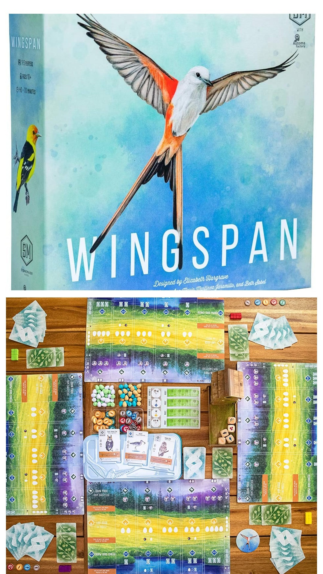 Wingspan Board Game - A Bird-Collection, Engine-Building Game. 1-5 Players/Ages 14+/Includes Solo Mode