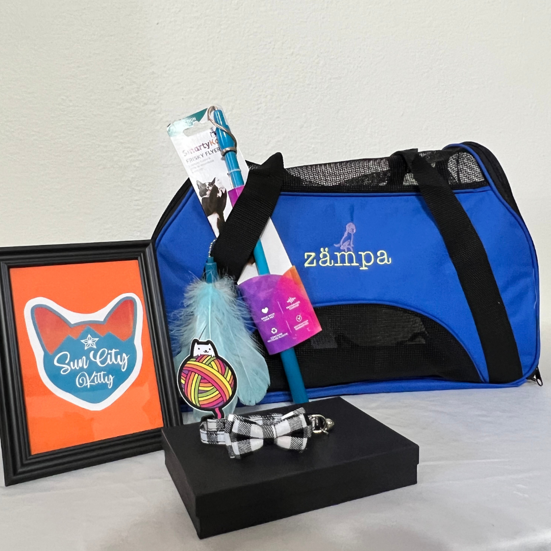 Cat lover's pack from Sun City Cat Cafe includes Cat carrier, cat toy, bow tie and gift card $20