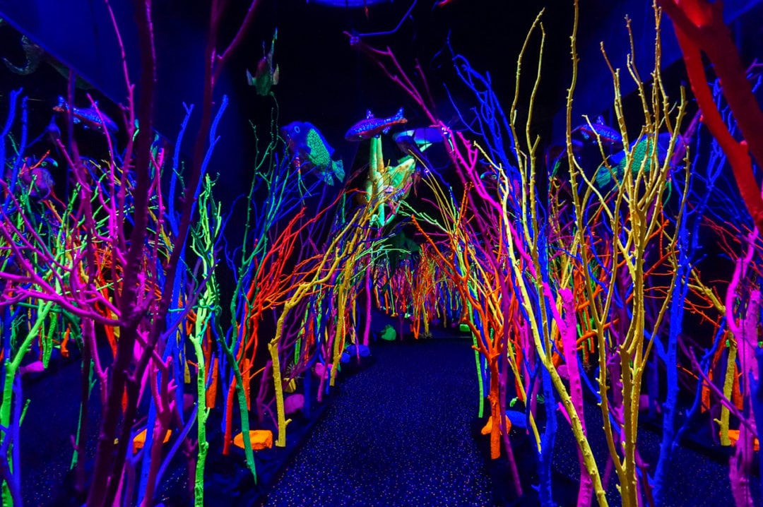 4 Tickets to Meow Wolf - Santa Fe, to be redeemed by Dec 2024