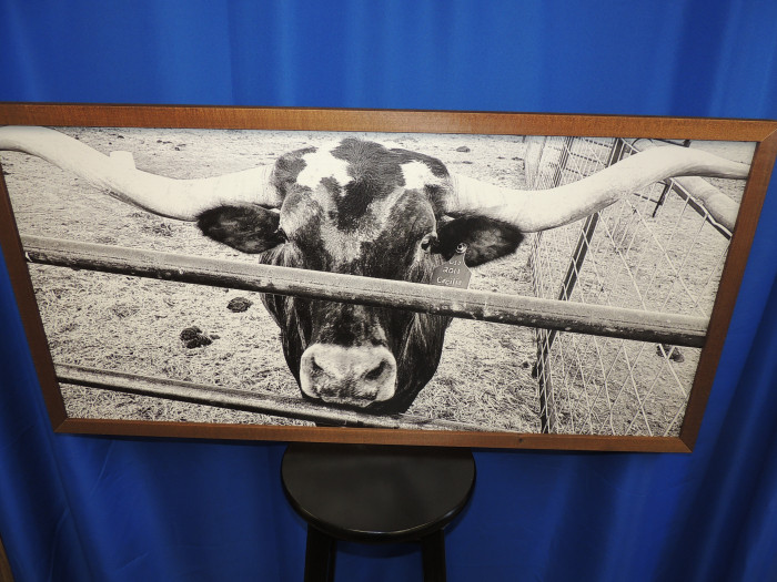 A 44x22 black and white Longhorn print in a beautiful, stained wood frame.