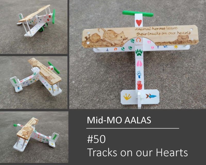 Biplane Battle Contry Entry #050; Owner: Mid-Missouri Branch AALAS; Designer: Lisa Mathis & Sarah Young; Entry Name: Tracks On Our Hearts