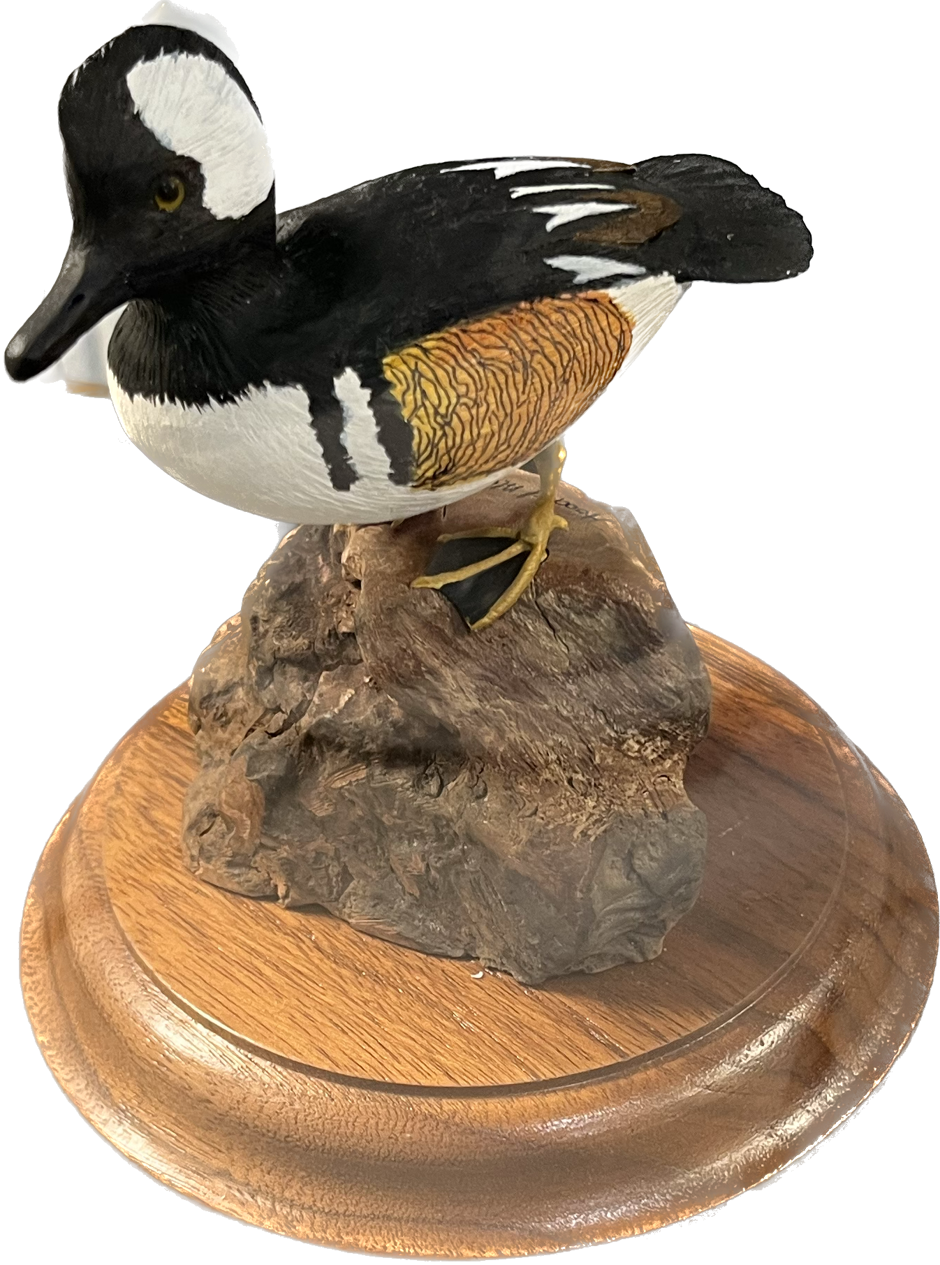 Wild Fowl Wood Sculpture by JR Thompson in Glass Case with Mirrored Back