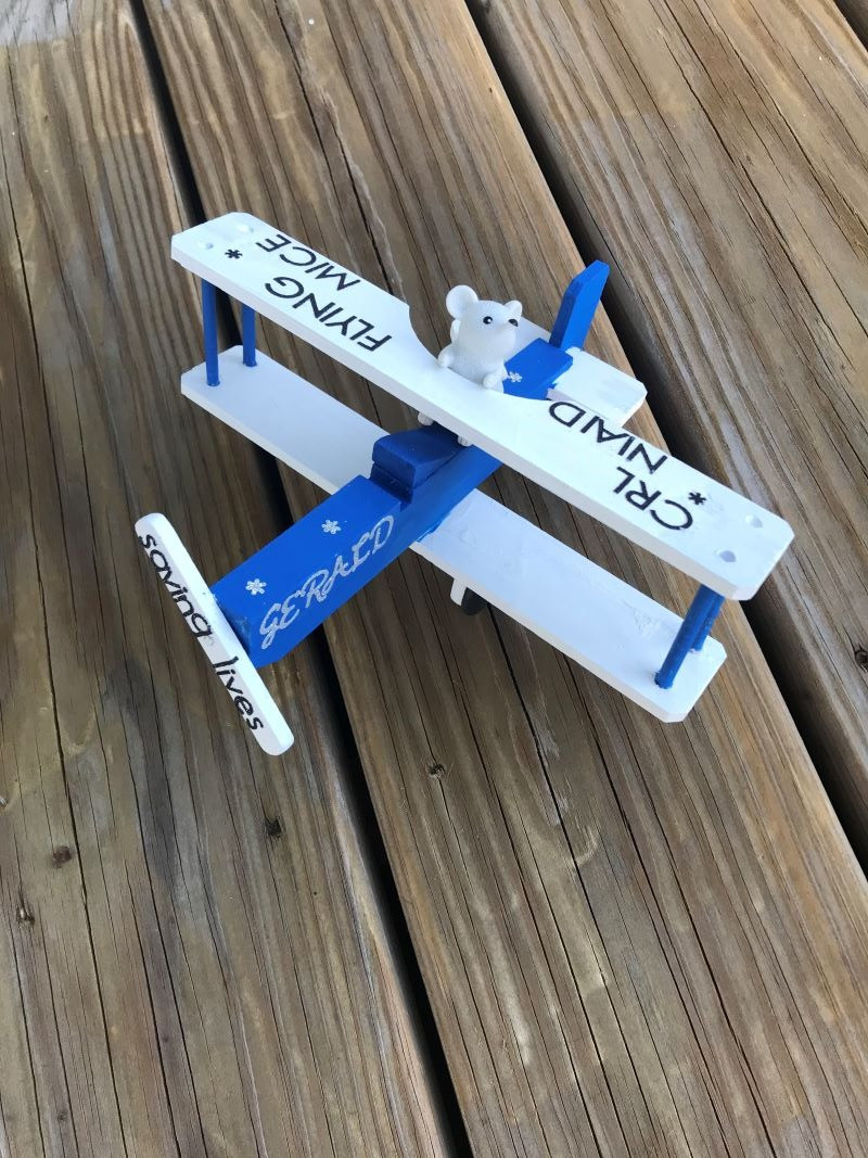 Biplane Battle Entry #018; Owner: Charles River-NIAID; Decorator/Designer: Stephanie Weaver; Entry Name: CRL NIAD Flying Mice