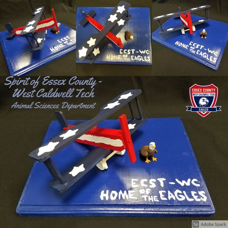 Biplane Battle Contest Entry #056 - Owner: Essec County Schools of Technology; Decorator: Dan Delcher; Name of Entry: "The Spirit of West Caldwell Tech"