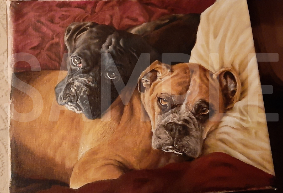 Certificate for a custom oil painting Pet Portrait by Maggie Vega
