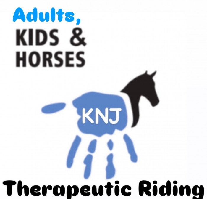 Texas experience with this unique gift basket from KNJ Therapeutic Riding! Includes a gift certificate for horseback riding lessons, a Cracker Barrel gift card, and a variety of Texas-themed goodies—shirt, water bottle, ornament, candle, and candy. Perfect for anyone who loves horses and Lone Star charm!