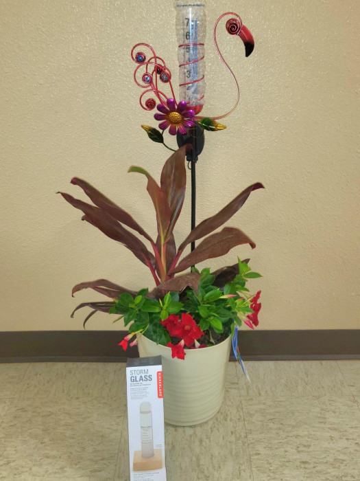 Beautiful Plant w/ a solar rain gauge and storm glass