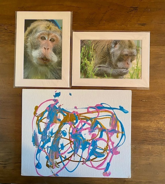 Macaque Painting on Canvas - 8" x 10" includes photo of artist along with name and birthday
