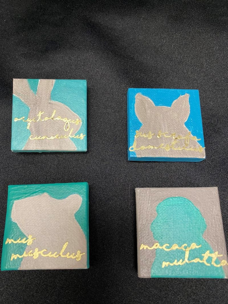 Set of 4 Lab Animal Magnets - hand painted by Samantha Gerb