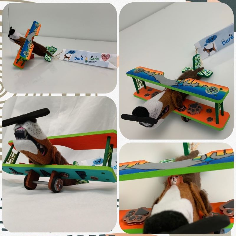 Biplane Battle Entry #051 - Owner: LAF-Fred Hutchinson Cancer Research Center; Decorator: Andrea Calvillo; Name of Entry: