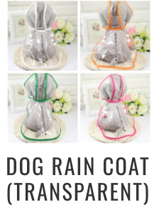 Dog Raincoat (Transparent) - Size Small (10-15 lb. dog)