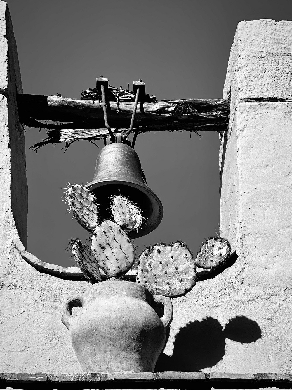 8" x 10" black and white photography - iso20 52mm f2 - cactus in vase in front of a mission bell