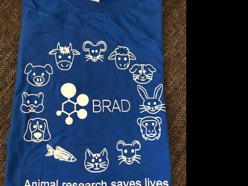 BRAD t-shirt (size M) Royal Blue