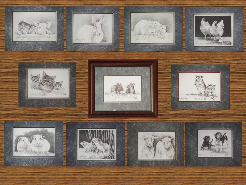 Eleven framed and numbered Lab Animal Series sketches by Johnny Lynch - renowned wildlife artist from Unicoi, TN. Mr. Lynch was commissioned by former vivarium Director at East Tennessee State University, Brunhilde Tober-Meyer, DVM, to sketch a Lab Animal series of prints. Sketchs are all numbered 1/40, include total of 11 framed and matted original and signed works. They include rabbits, rats, mice, pigs, chickens, guinea pigs, frogs, hamsters, cats, sheep and beagle dogs. If you have visited the national AALAS office, you may have noticed a set of these prints displayed. Sketches are 6 1/2" x 4 1/2" and matted in 12" x 9" matching frames.