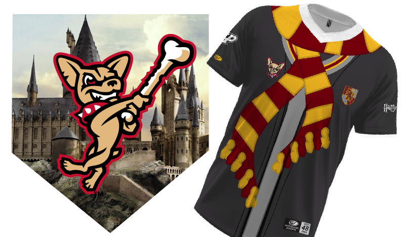 Harry Potter Jersey - Size 46 (L), no guarantee same player signs this jersey on 7/20 due to roster transactions.