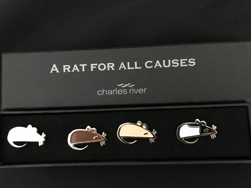 Set of Rat Pins - "A Rat for All Causes"